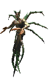 DaggerfallDreugh.gif