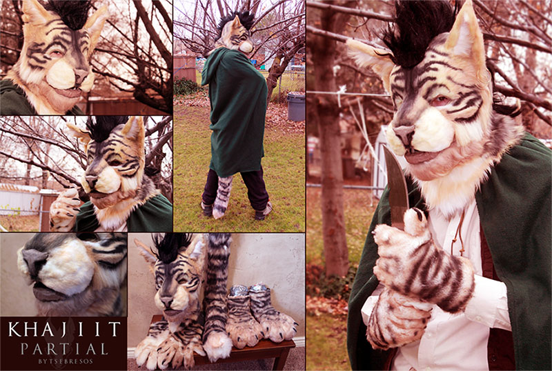 khajiit_partial_by_tsebresos-d5n6r8i.jpg