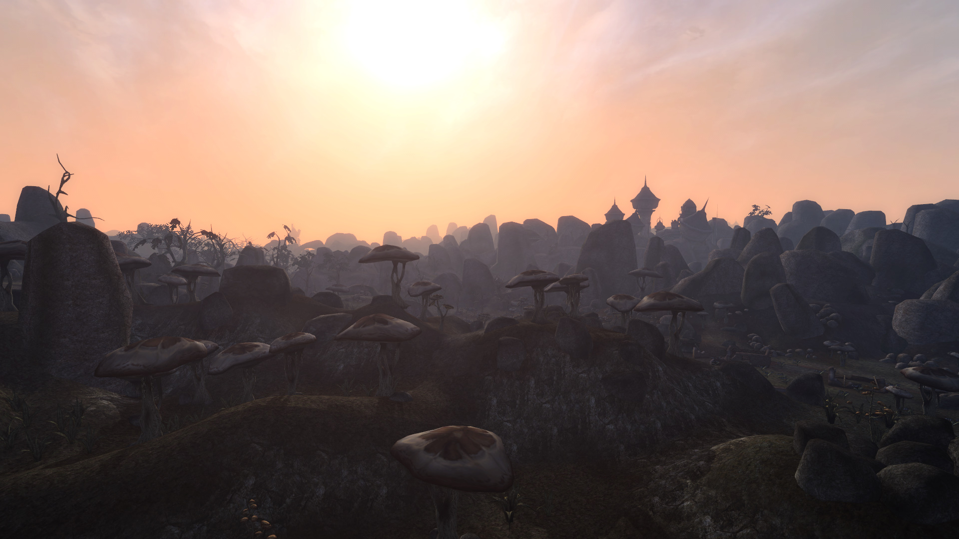 Morrowind 2014-01-20 21-54-57-048.jpg