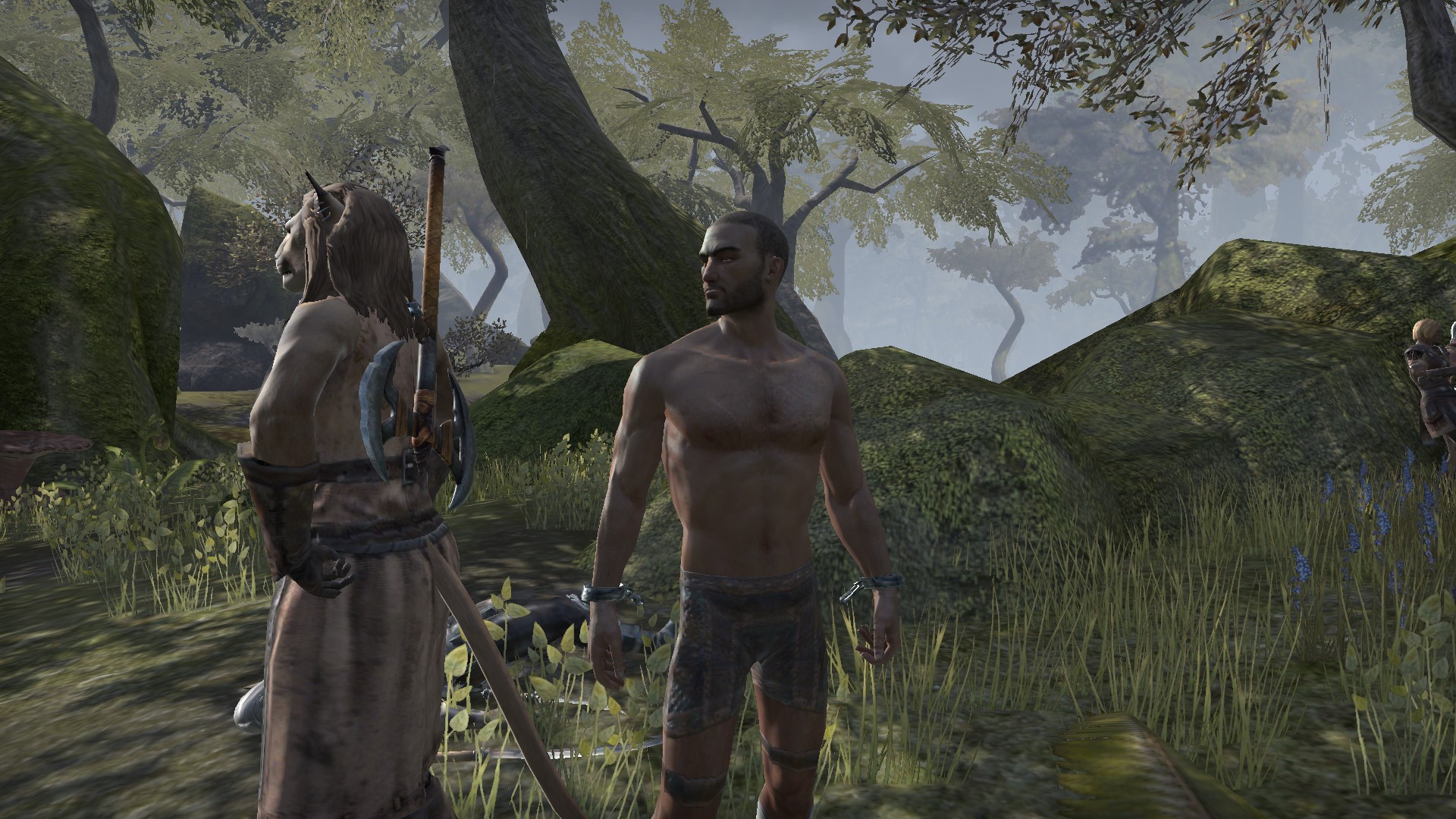 Screenshot_20161126_221325.jpg