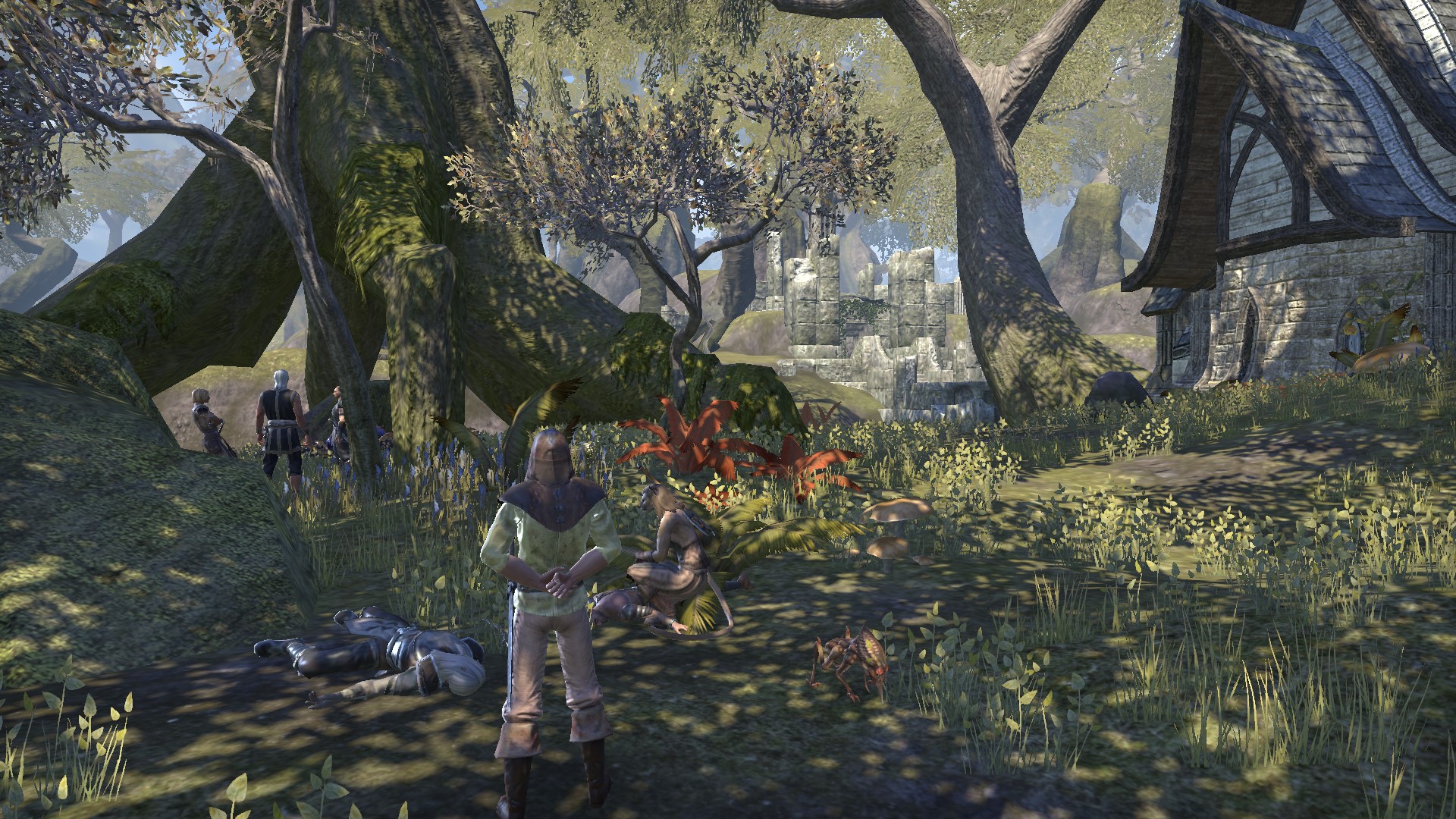 Screenshot_20161126_215732.jpg