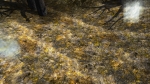 Изображение: Screen_ 2015-02-04 05.34.14.824.jpg