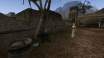 Изображение: Morrowind 2019-02-23 21.01.43.978.jpg