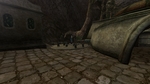 Изображение: Morrowind 2019-02-23 21.03.23.804.jpg