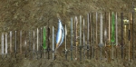 Изображение: weapons_long.jpg