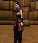 Изображение: Morrowind 2013-05-24 17-07-11-191.jpg
