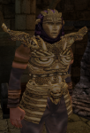 Изображение: sirollus saccus.png