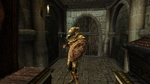Изображение: Morrowind Снусмумрик, День 1, 09.41 0071.jpg