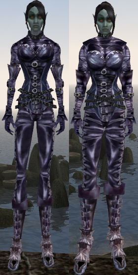 domina_2.png