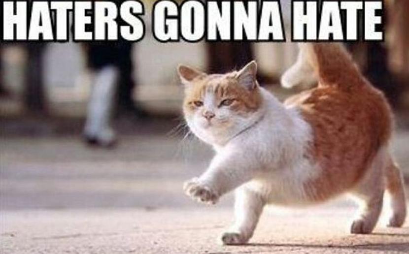 haters_cat.JPG