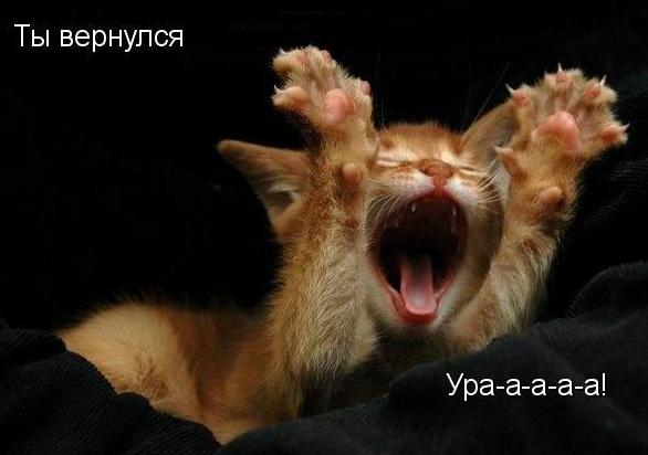 ннн.JPG