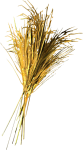 Изображение: Wheat.png