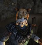 Изображение: Morrowind 2013-06-25 03-48-34-48.jpg