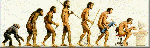 Изображение: devolution.gif