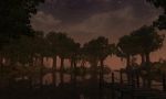 Изображение: Morrowind 2013-06-25 03-57-26-15.jpg