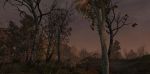 Изображение: Morrowind 2013-06-25 03-46-47-18.jpg