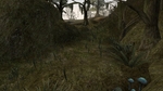 Изображение: Morrowind 2015-12-11 22.07.44.625.jpg