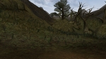 Изображение: Morrowind 2015-12-11 22.08.25.036.jpg